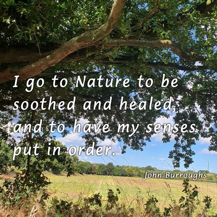 I go to Nature to be soothed and healed, and to have my senses put in ...