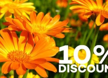 Gut Health Bowel Immunity Tips for Cold Weather