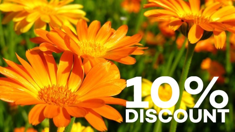 Gut Health Bowel Immunity Tips for Cold Weather