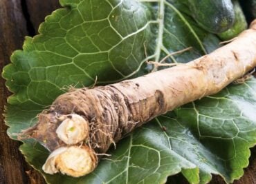 Lung Health Prevention Support for Better Breathing