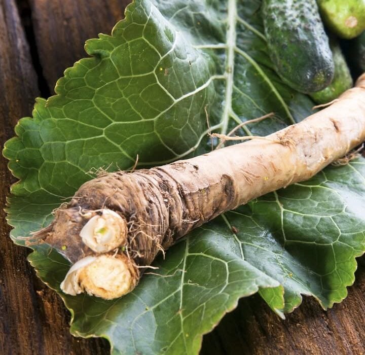 Lung Health Prevention Support for Better Breathing