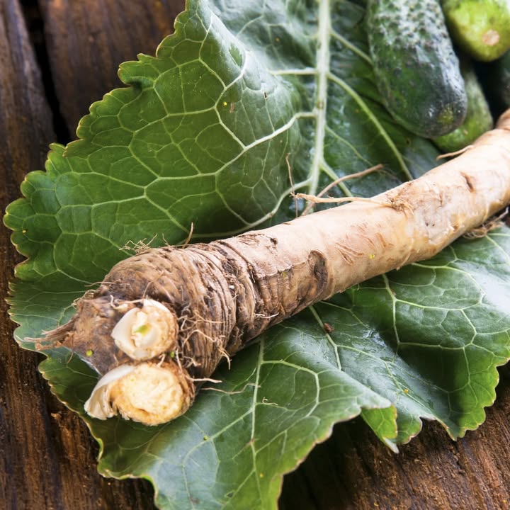 Lung Health Prevention Support for Better Breathing