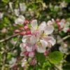 Welcome Spring with Renewed Energy
