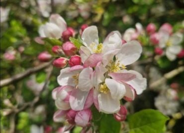 Welcome Spring with Renewed Energy